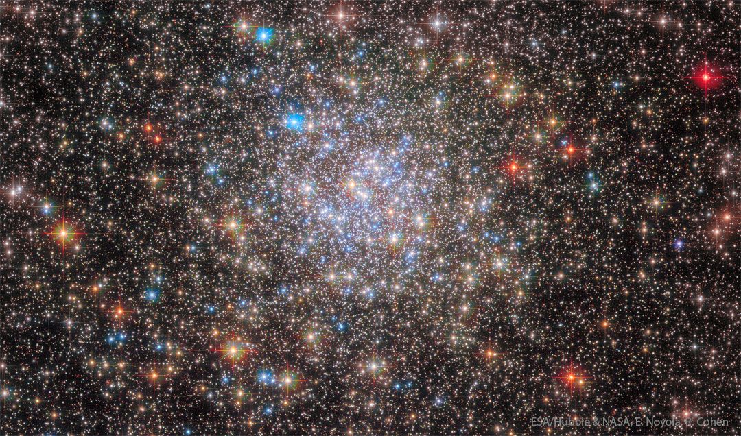 The scattered stars of the globular cluster NGC 6355 are strewn across this image from the NASA/ESA Hubble Space Telescope. This globular cluster lies less than 50,000 light-years from Earth in the Ophiuchus constellation. NGC 6355 is a galactic globular cluster that resides in our Milky Way galaxy's inner regions. Globular clusters are stable, tightly bound clusters of tens of thousands to millions of stars, and can be found in all types of galaxies. Their dense populations of stars and mutual gravitational attraction give these clusters a roughly spherical shape, with a bright concentration of stars surrounded by an increasingly sparse sprinkling of stars. The dense, bright core of NGC 6355 was picked out in crystal-clear detail by Hubble in this image, and is the crowded area of stars towards the centre of this image.  With its vantage point above the distortions of the atmosphere, Hubble has revolutionised the study of globular clusters. It is almost impossible to distinguish the stars in globular clusters from one another with ground-based telescopes, but astronomers have been able to use Hubble to study the constituent stars of globular clusters in detail. This Hubble image of NGC 6355 contains data from both the Advanced Camera for Surveys and Wide Field Camera 3. [Image description: A dense collection of stars covers the view. Towards the centre the stars become even more dense in a circular region, and also more blue. Around the edges there are some redder foreground stars, and many small stars in the background.] Links  Video of Stargazing in NGC 6355